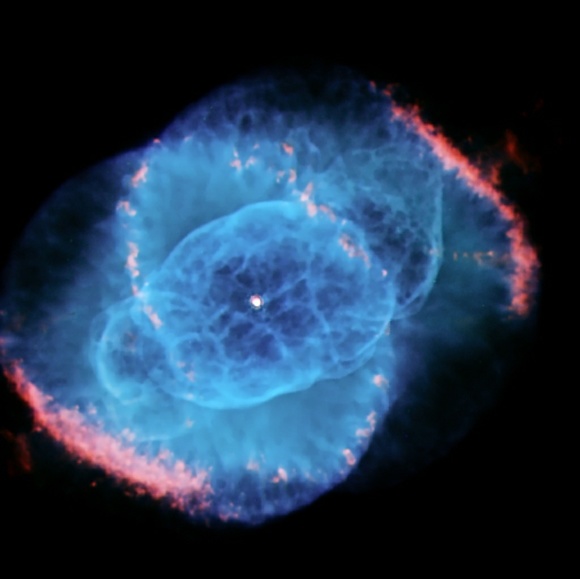 Meet your Posher, Ryan - Picture 1 of 1